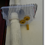 View of plastic box mounted on wall after cutting away a section of the down pipe